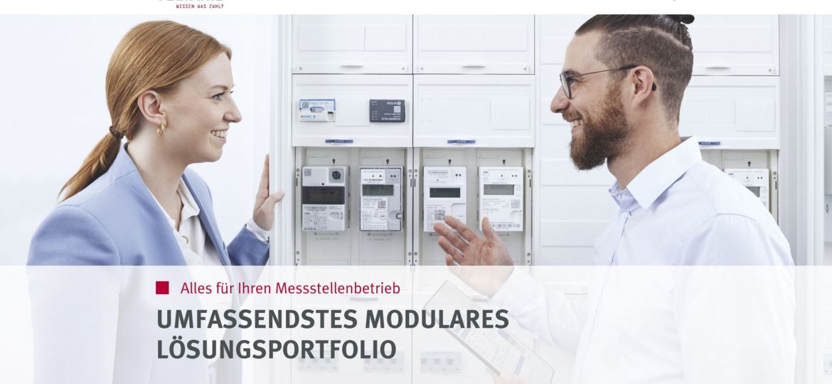 Header-voltaris-web-relaunch-schwalbenfisch